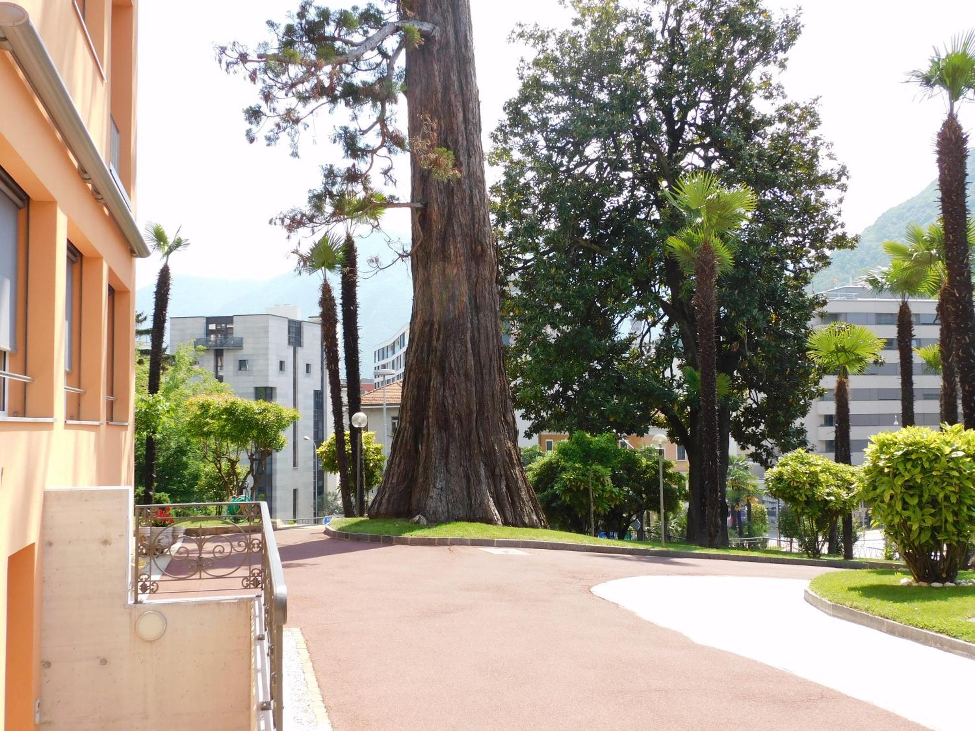 Casa Santa Birgitta Hotel Lugano Exterior foto